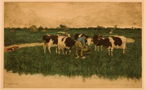 s51:cb Holsteins, Edam