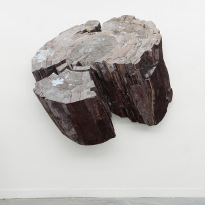 Holocene, 2013 (160x168x16cm), privé collectie Rotterdam